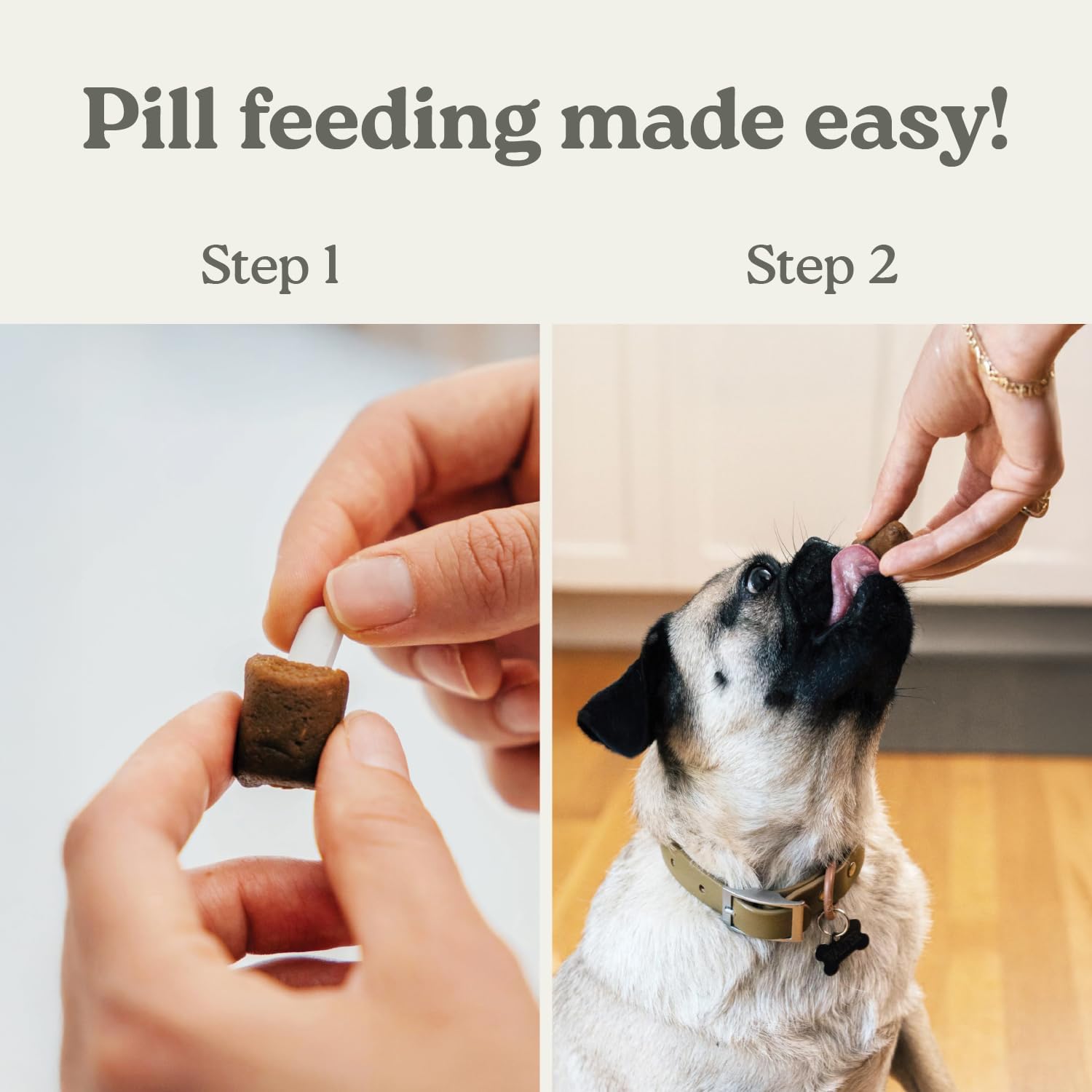 Presidio Pill Buddy Naturals Smoked Beef Recipe