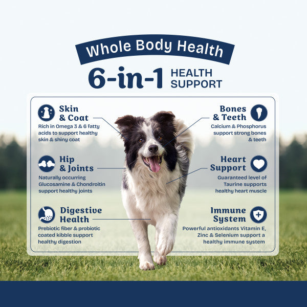Natural Balance Health Protection Dry Dog Food, Chicken, Brown Rice & Pumpkin Recipe