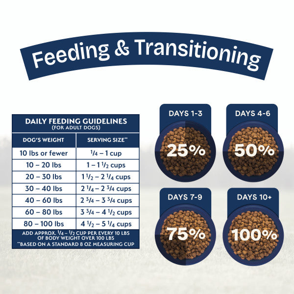 Natural Balance Health Protection Dry Dog Food, Salmon, Brown Rice & Pumpkin Recipe