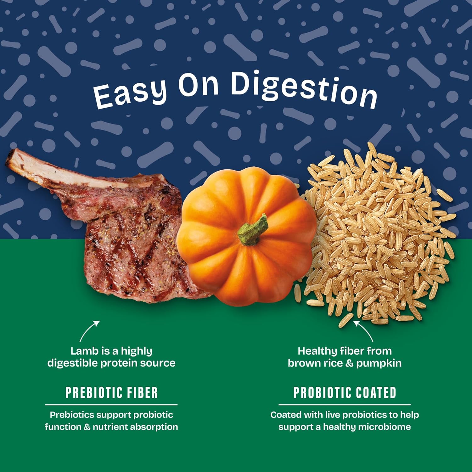 Natural Balance Health Protection Adult Lamb, Brown Rice & Pumpkin Dog Dry Food