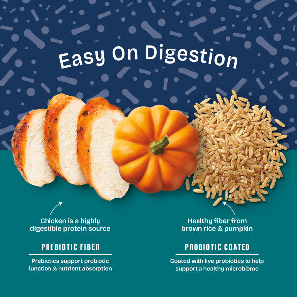Natural Balance Health Protection Dry Dog Food, Chicken, Brown Rice & Pumpkin Recipe