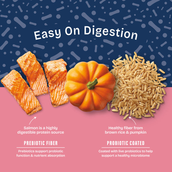 Natural Balance Health Protection Dry Dog Food, Salmon, Brown Rice & Pumpkin Recipe