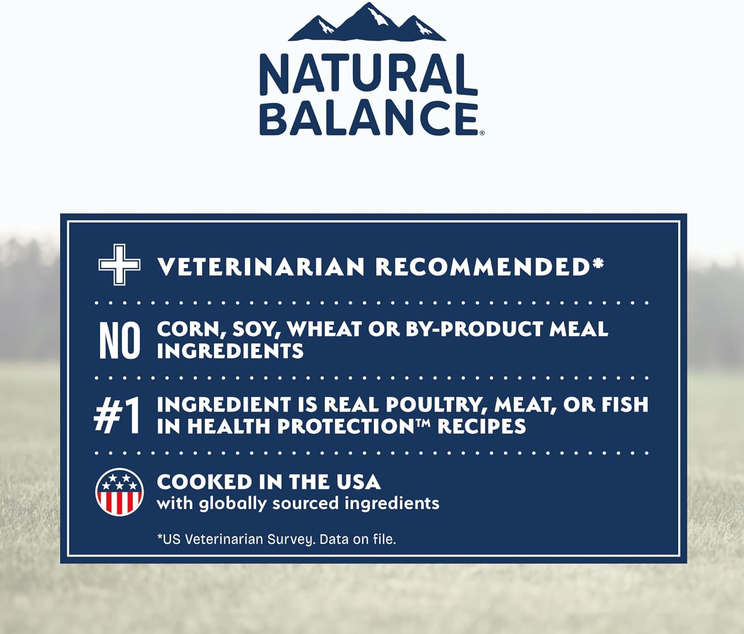 Natural Balance Health Protection Adult Lamb, Brown Rice & Pumpkin Dog Dry Food