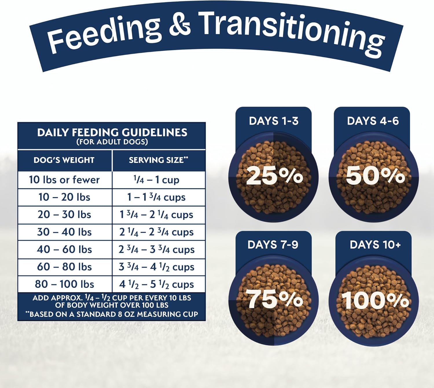 Natural Balance Health Protection Adult Lamb, Brown Rice & Pumpkin Dog Dry Food