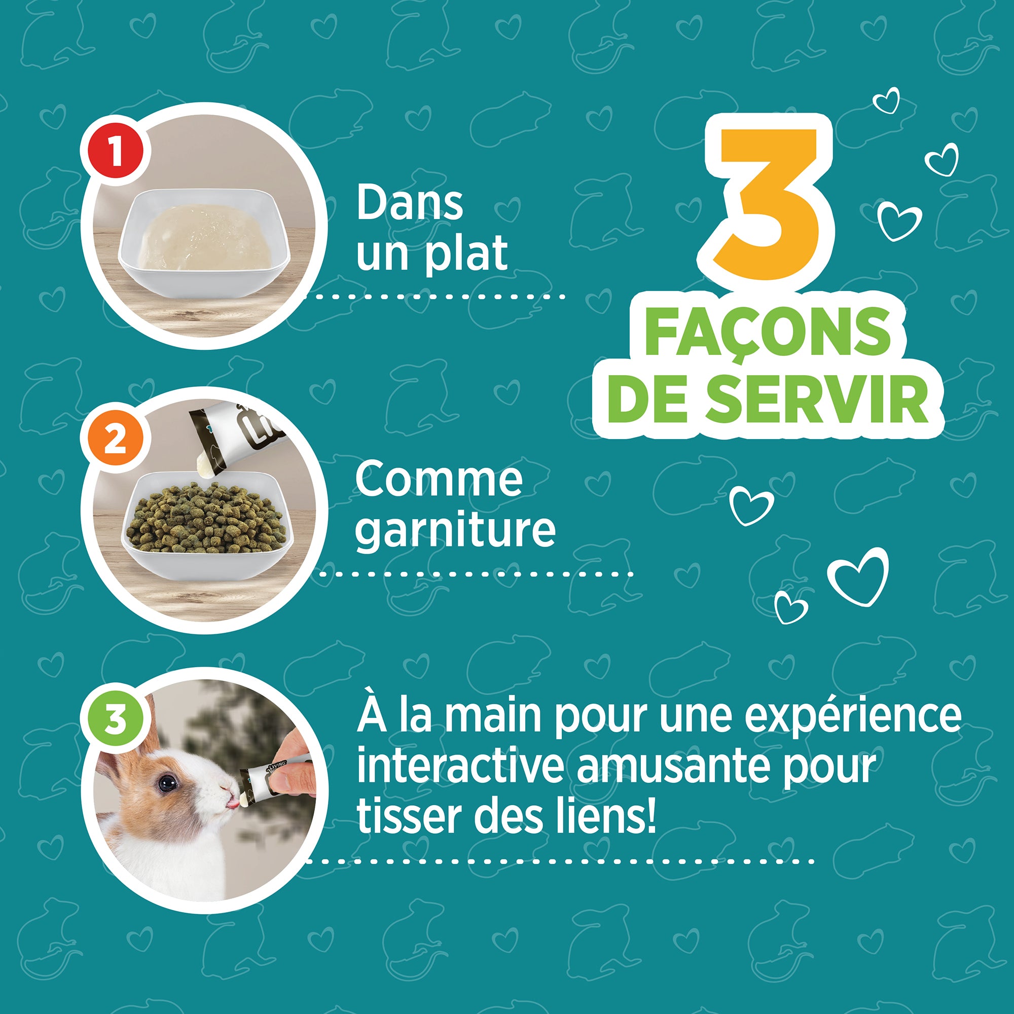 Living World Lickables Small Animal Treat Papaya Flavour