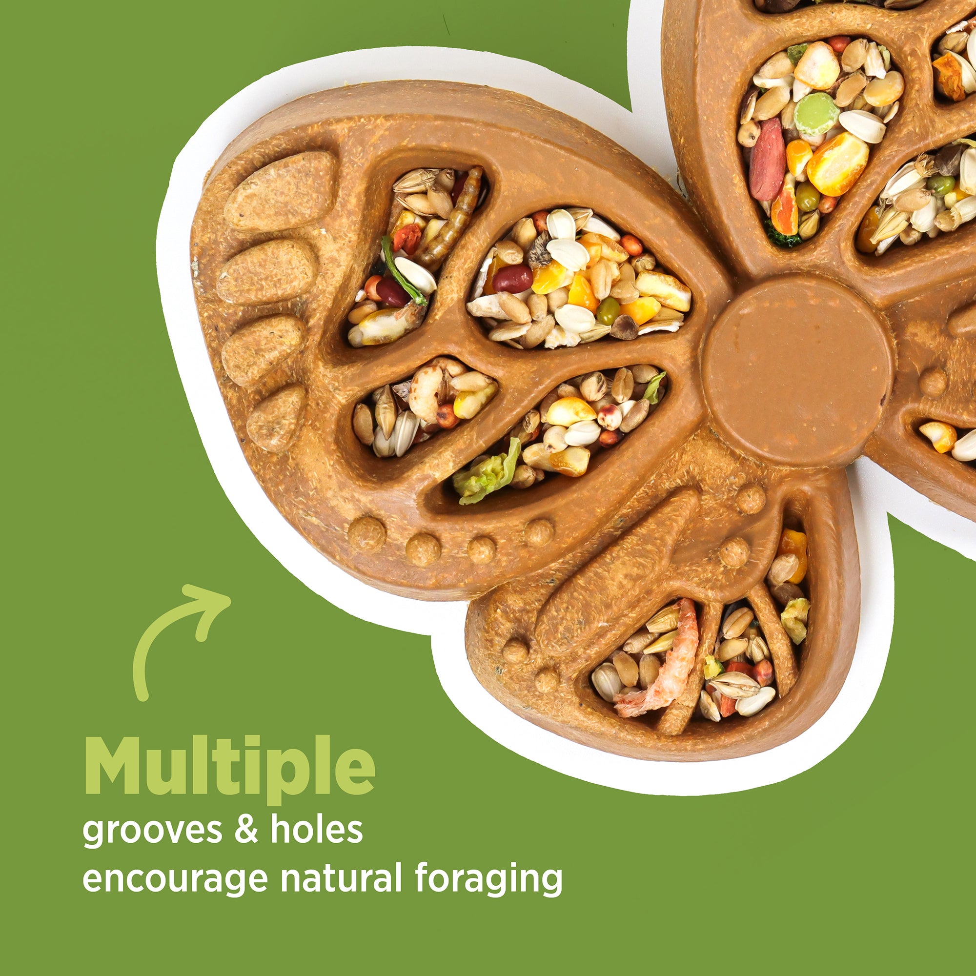 Living World Edible Butterfly Foraging Feeder for Small Animals - Small Animal - Living World - PetMax Canada