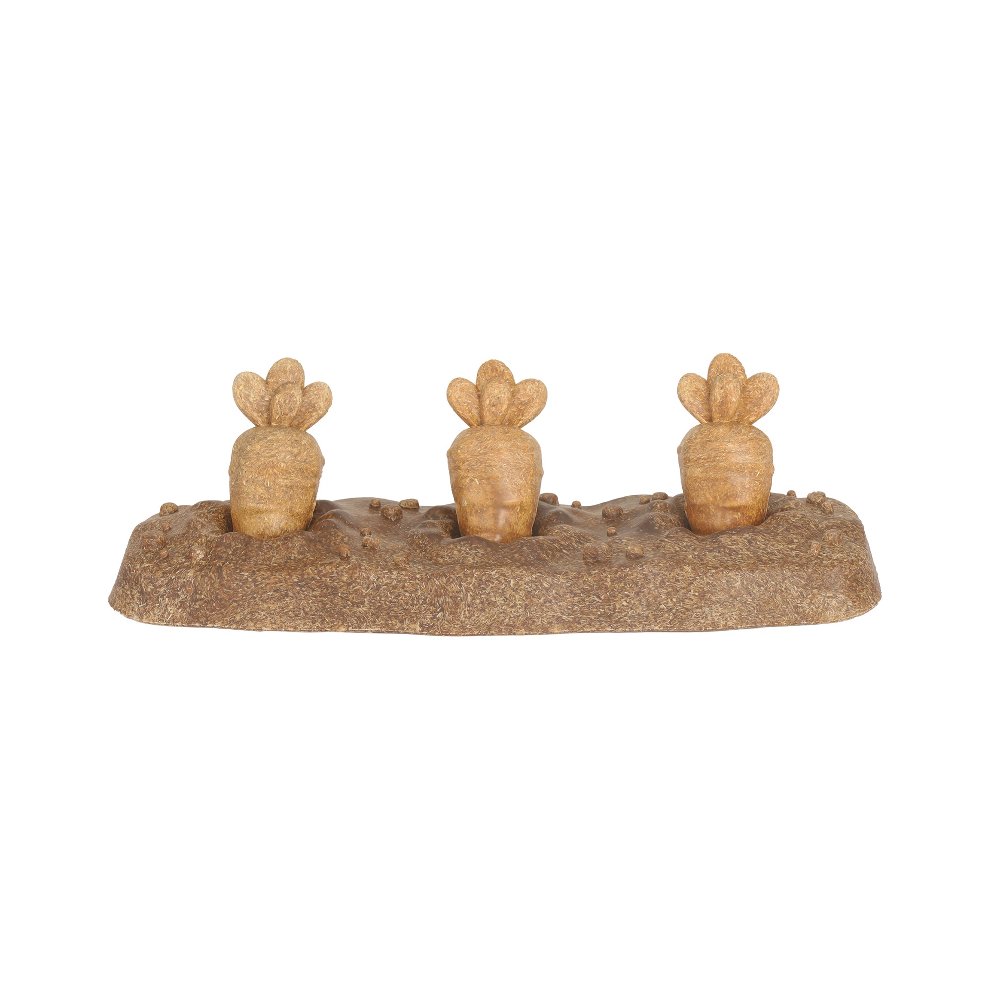 happy pet358。 Living World Edible Carrot Patch Chew | PetMax Canada