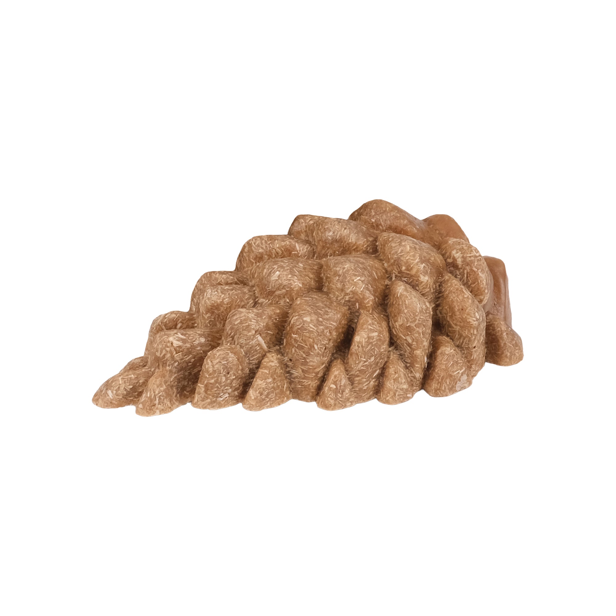 Living World Edible Pine Cones Chew Toy for Small Animals - 6 Pack - Small Animal - Living World - PetMax Canada