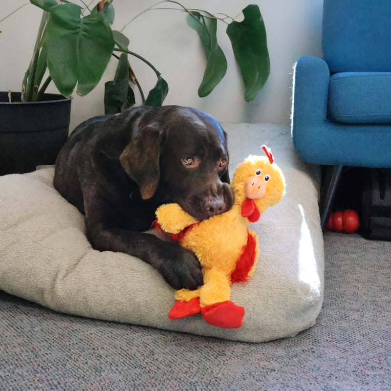 Kong Wild Knots Chicken Dog Toy