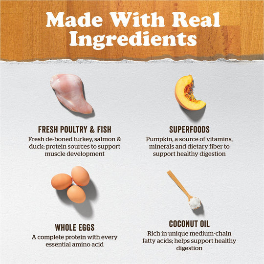 Now Fresh Pet Food Made With Real Ingredients