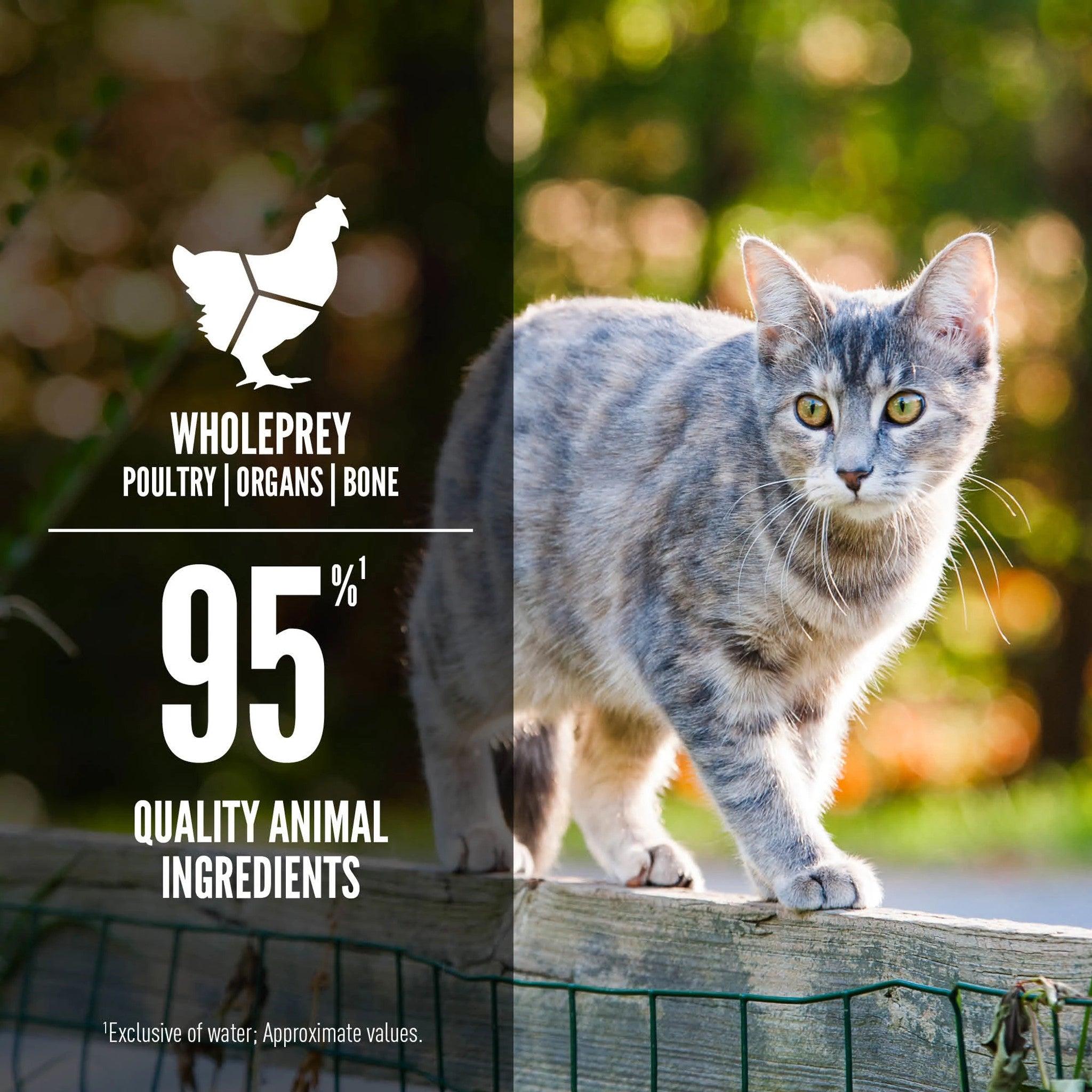 Orijen Duck + Chicken Entrée Wet Cat Food Recipe - 85g - Canned Cat Food - Orijen - PetMax Canada