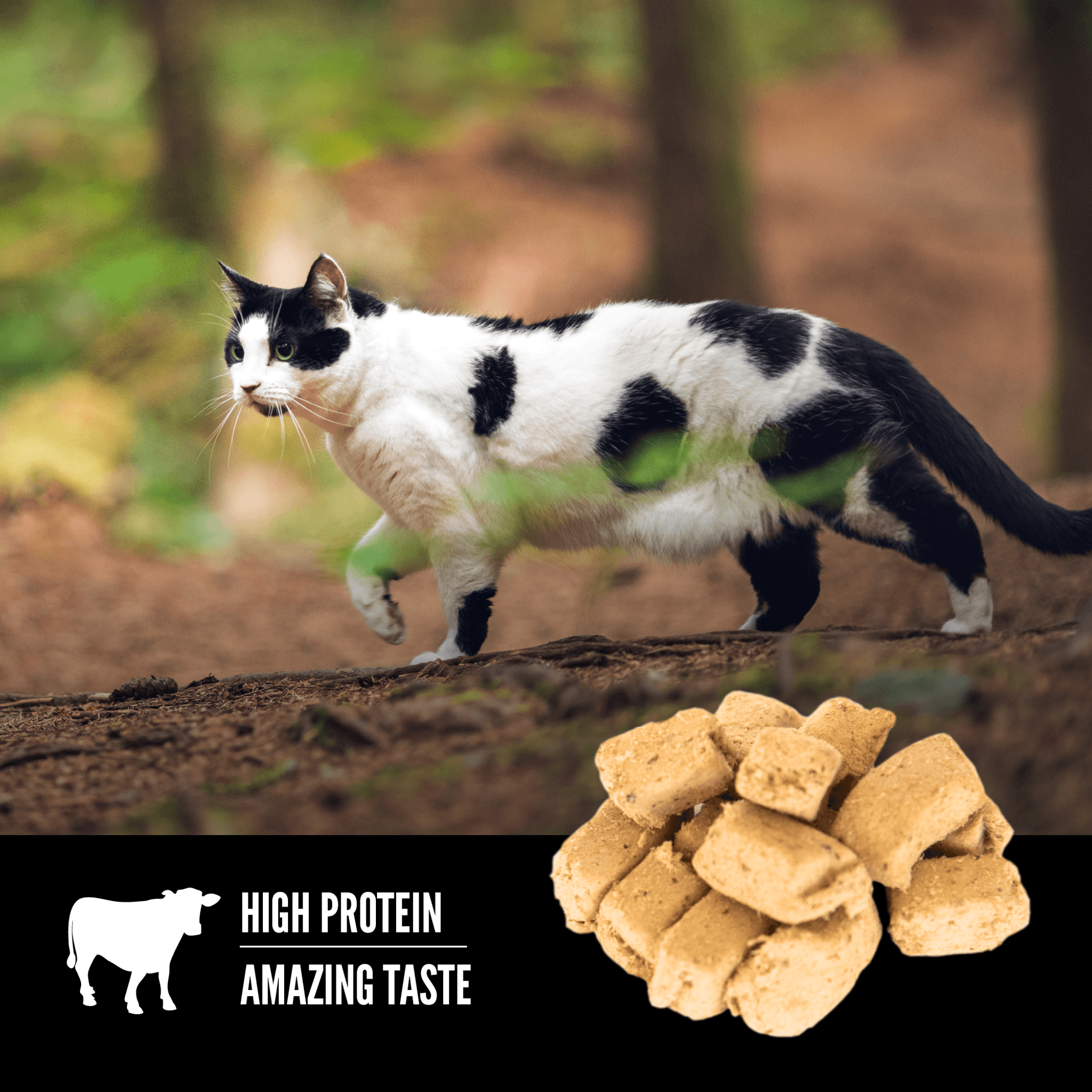 Orijen Freeze-Dried Cat Treats Regional Red - 35g - Cat Food - Orijen - PetMax Canada