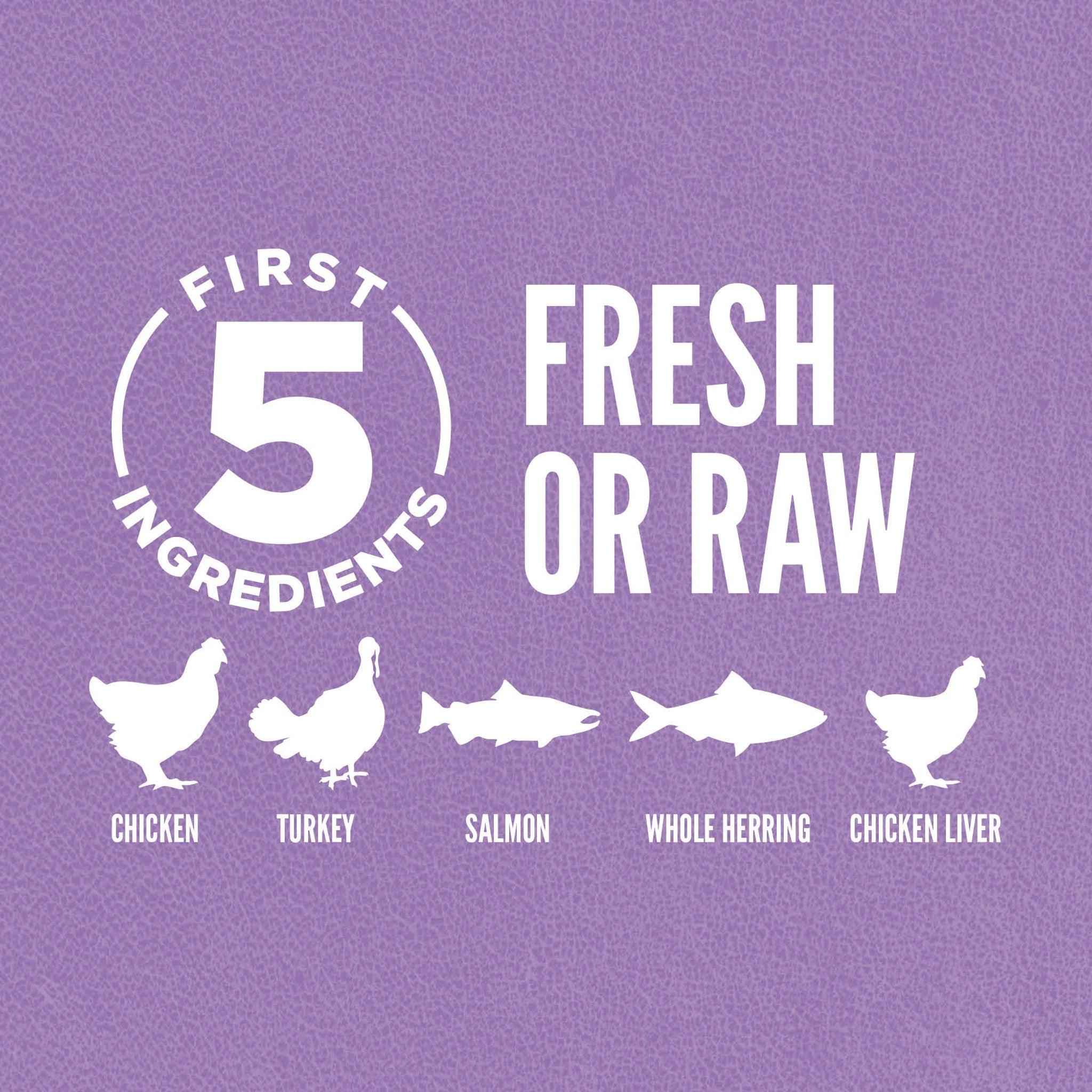 Orijen Kitten Recipe - 1.8 Kg - Cat Food - Orijen - PetMax Canada