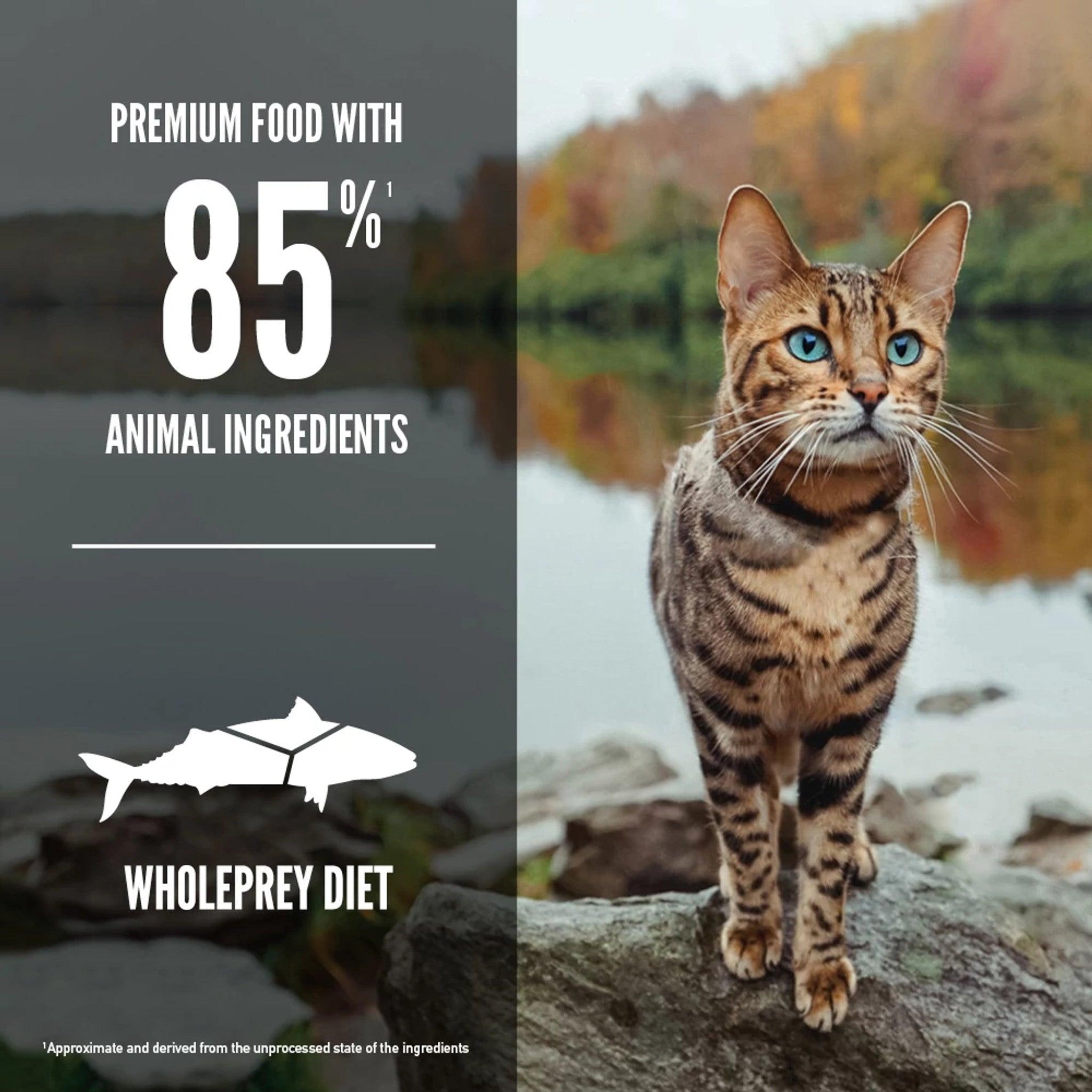 Orijen Six Fish Dry Cat Food Recipe - 1.8 Kg - Cat Food - Orijen - PetMax Canada