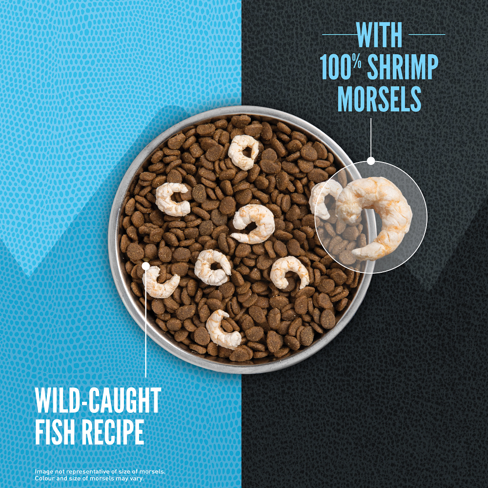 Orijen Wild Reserve Wild-Caught Fish Recipe Dry Cat Food - kibble bowl with freeze-dried shrimp morsels - Orijen - PetMax Canada