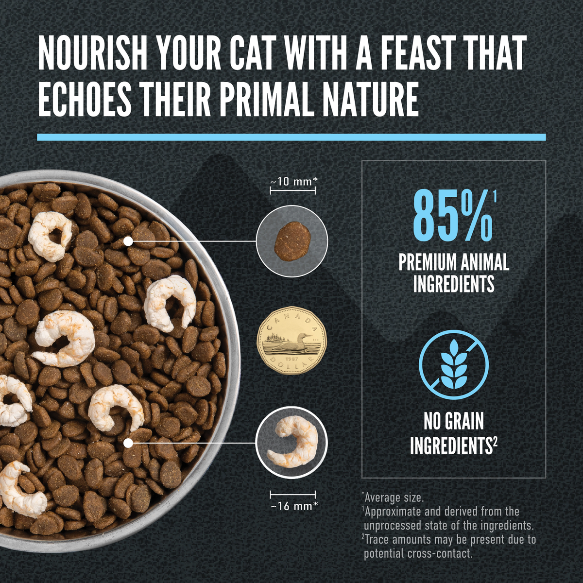 Orijen Wild Reserve Wild-Caught Fish Recipe Dry Cat Food - 85% animal ingredients with kibble and morsel size - Orijen - PetMax Canada