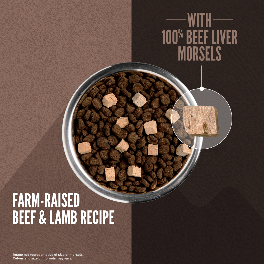 Orijen Wild Reserve Farm-Raised Beef & Lamb Recipe Dry Dog Food - 100% beef liver morsels in bowl - Orijen - PetMax Canada