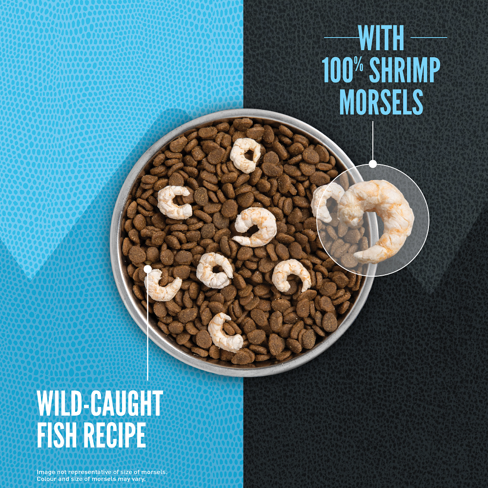 Orijen Wild Reserve Wild-Caught Fish Recipe Dry Dog Food - Bowl of kibble with 100% freeze-dried shrimp morsels - Orijen - PetMax Canada