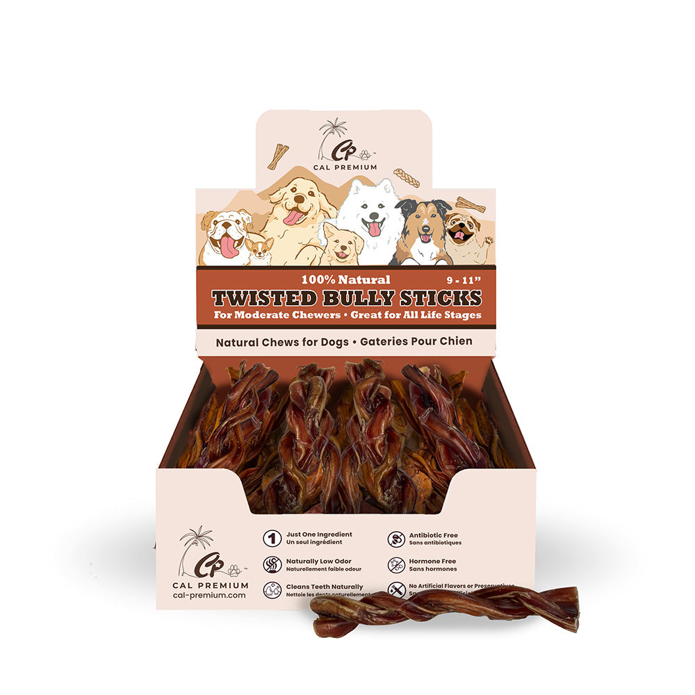 Cal Premium Twisted Bully Stick Dog Chew - 9-11 inch counter display box with a loose twisted bully stick - PetMax Canada