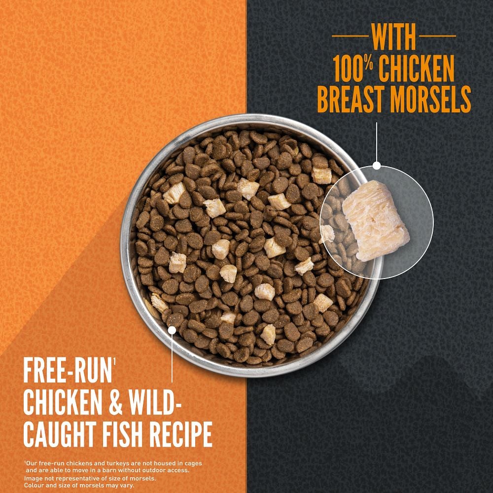 Orijen Wild Reserve Free-Run Chicken & Wild-Caught Fish Recipe Dry Cat Food - Bowl of kibble with freeze-dried chicken breast morsels - Orijen - PetMax Canada