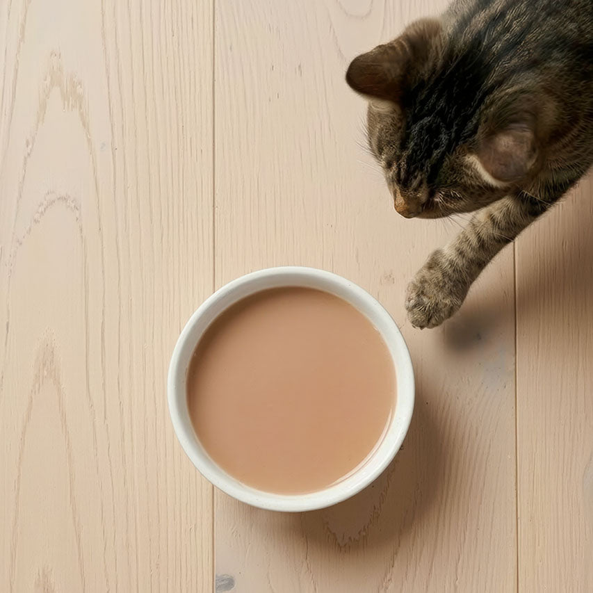 Catit Creamy Bisque Chicken & Liver Cat Treats - cat reaching for a bowl of Creamy Bisque - PetMax Canada