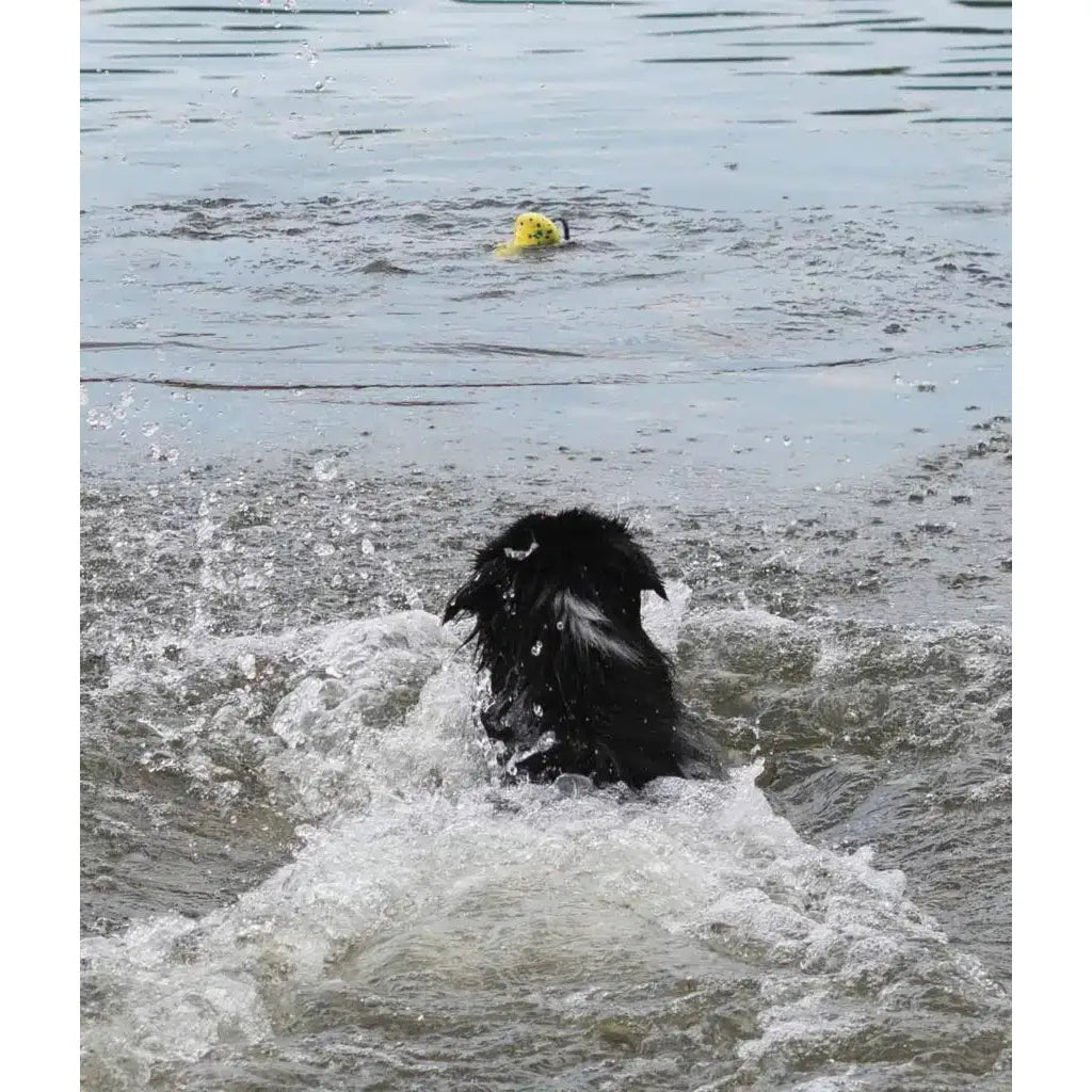 Zeus Nitro Weighted Buoy With Rope Dog Toy