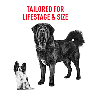 Royal Canin Lifestage Formulas Tailored for Lifestage & Size