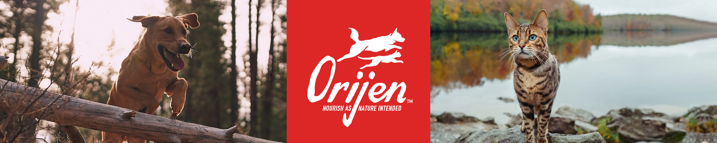Buy Orijen Pet Food online in Canada at PetMax.ca