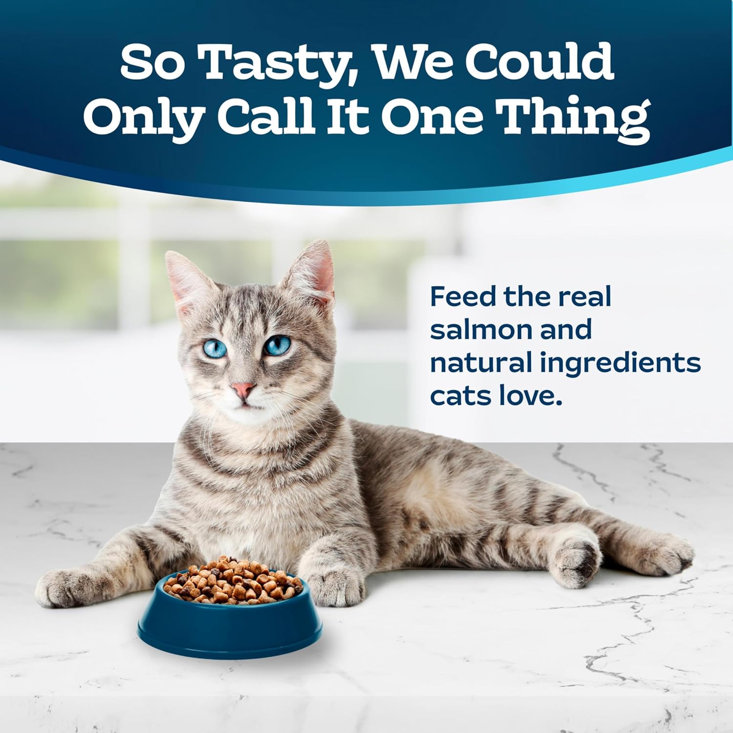 Blue Buffalo Tastefuls Indoor Salmon & Brown Rice Adult Dry Cat Food - Image 3 - Blue Buffalo - PetMax Canada