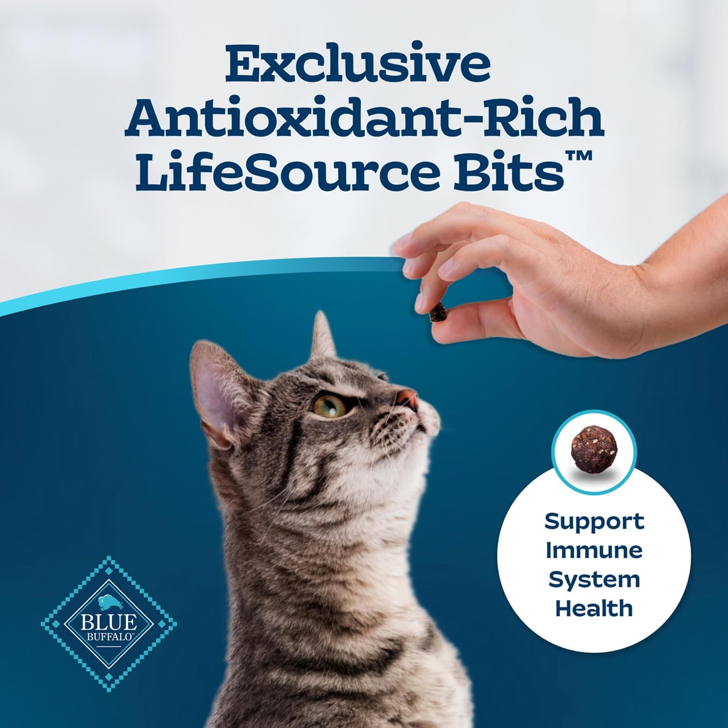 Blue Buffalo Tastefuls Indoor Salmon & Brown Rice Adult Dry Cat Food - Image 7 - Blue Buffalo - PetMax Canada