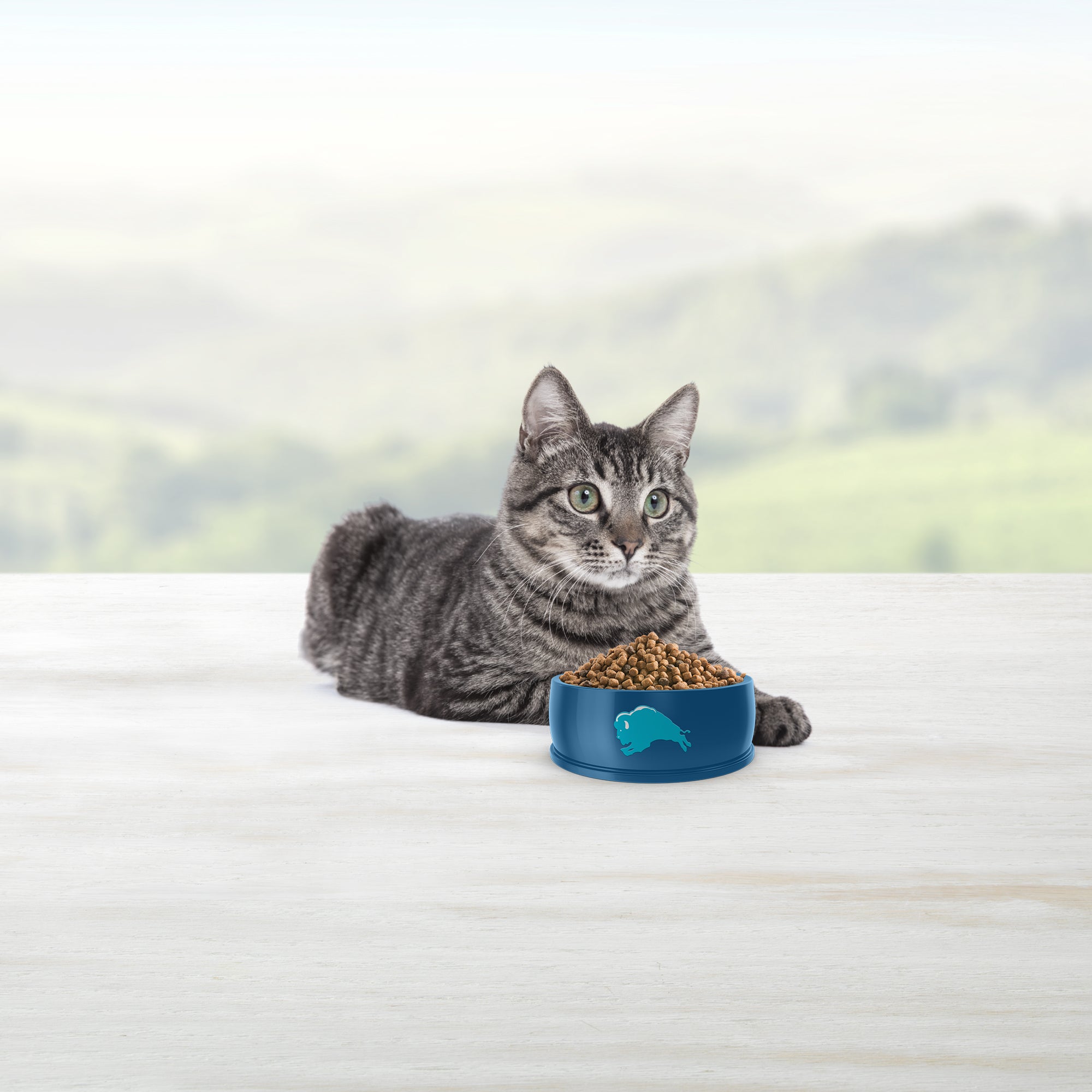Blue Buffalo Tastefuls Natural Chicken Adult 7+ Dry Cat Food - Image 6 - Blue Buffalo - PetMax Canada
