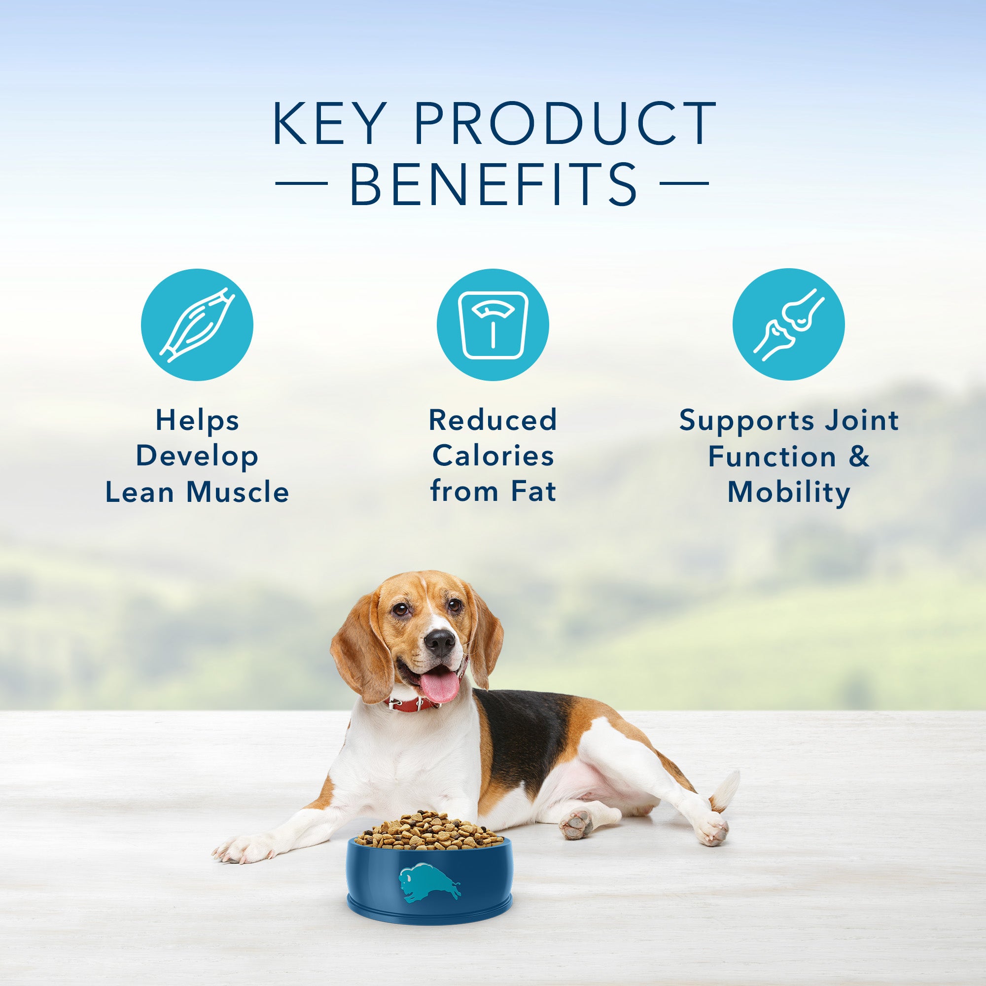 Blue Buffalo Life Protection Healthy Weight Dog Food - Image 5 - Blue Buffalo - PetMax Canada