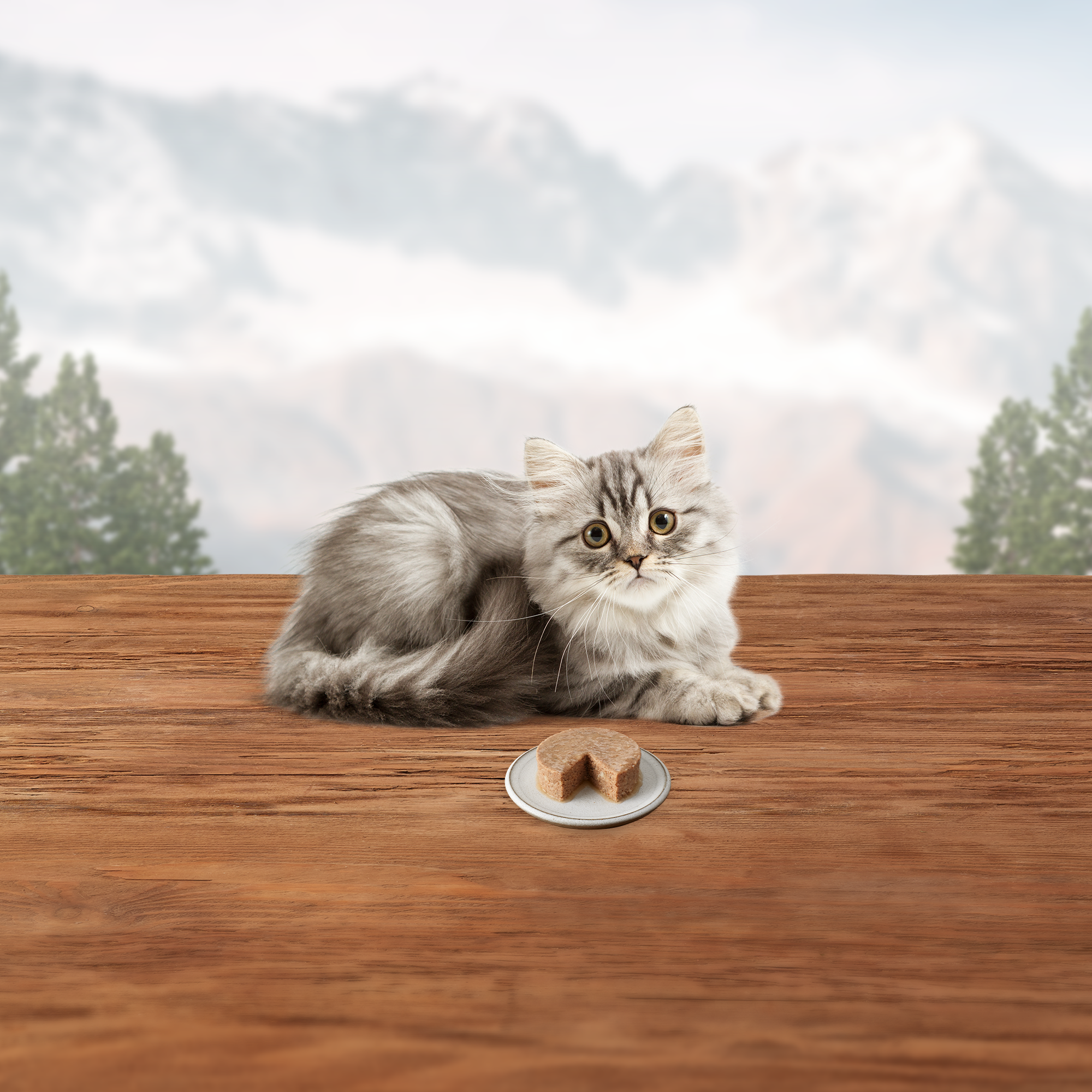 Blue Buffalo Wilderness Canned Kitten Food - Image 6 - Blue Buffalo - PetMax Canada