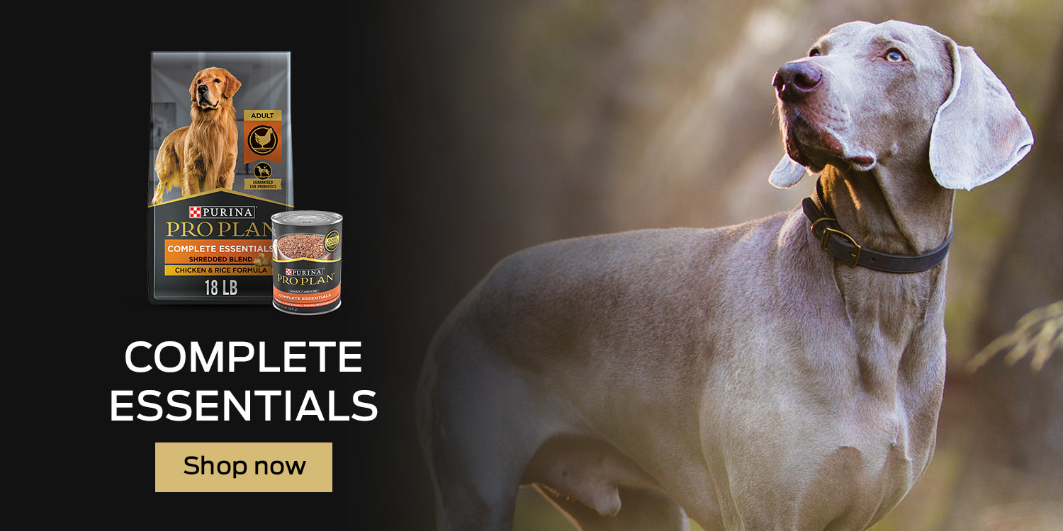 Buy Pro Plan Complete Essentials Dog Food Online in Canada at PetMax.ca