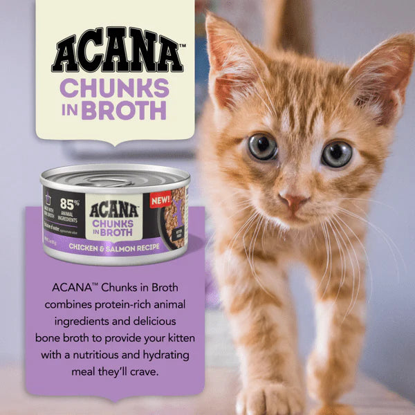 Acana Wet Cat Food Chicken + Salmon Recipe In Bone Broth For Kittens