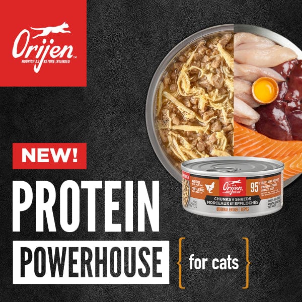 Orijen Wet Cat Chunks + Shreds Regional Red