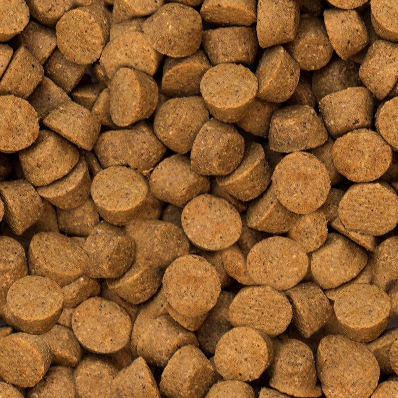 Oven-Baked Tradition Hypoallergenic Duck Dry Food For All Breed Adult Dogs - Oven-baked kibble close-up - PetMax Canada