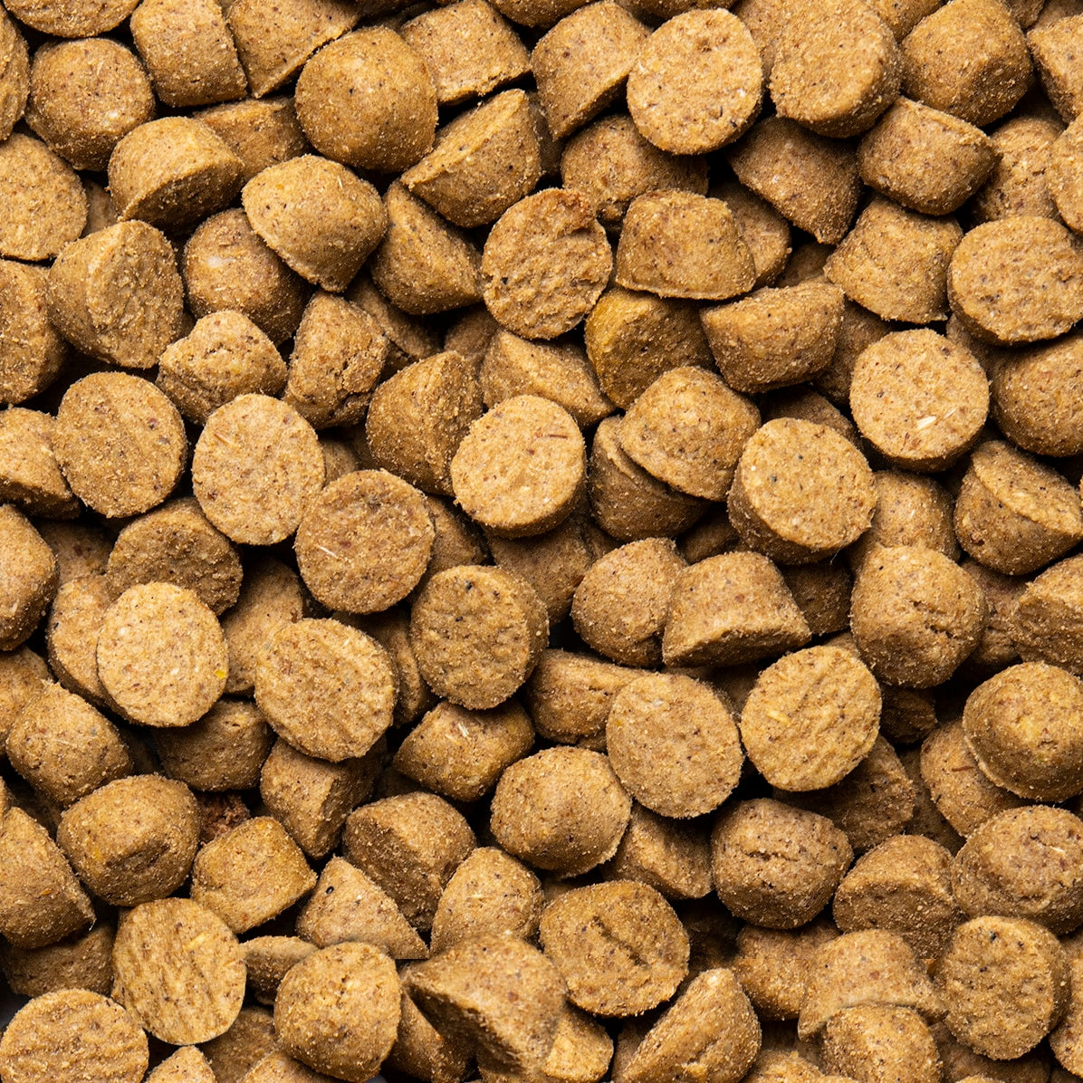 Oven-Baked Tradition Hypoallergenic Duck Dry Food For Small Breed Adult Dogs - Oven-baked kibble close-up - PetMax Canada