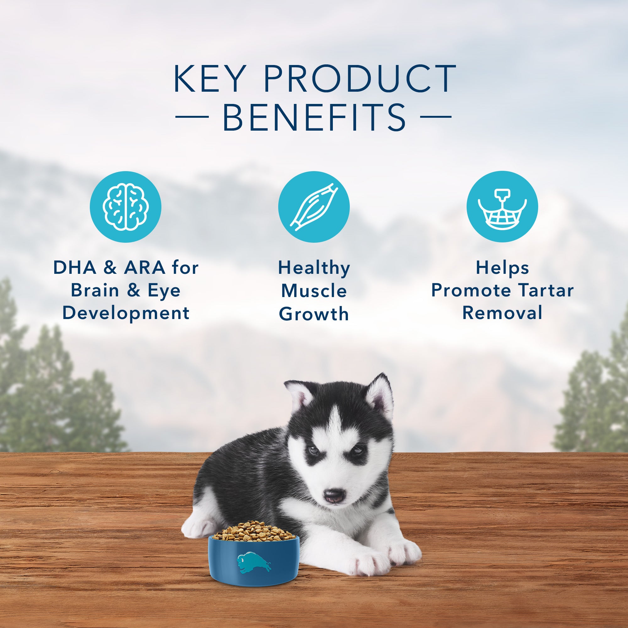 Blue Buffalo Wilderness Puppy Food Chicken Formula - Image 5 - Blue Buffalo - PetMax Canada