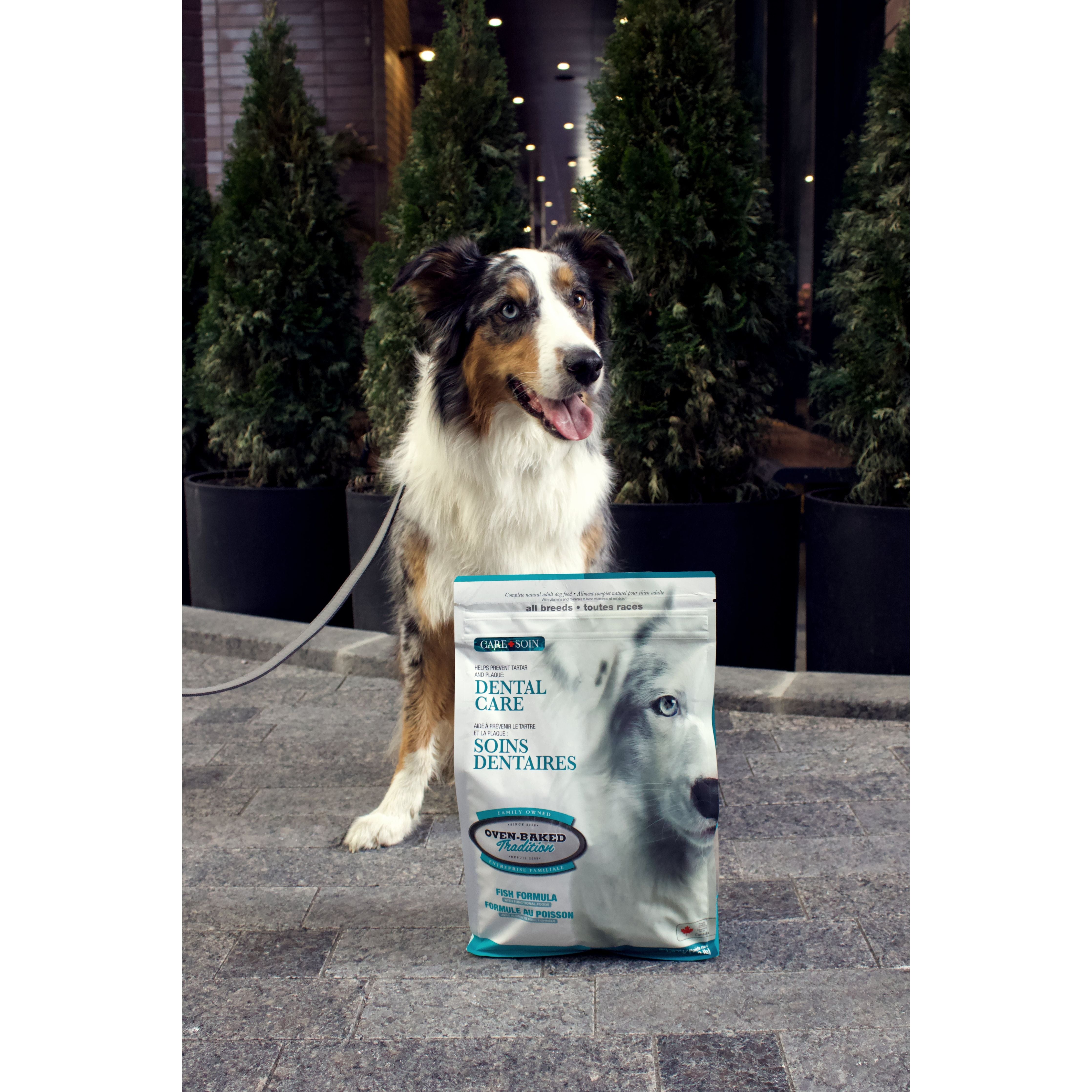 Oven Baked Tradition Dental Care Dry Food For Adult Dogs