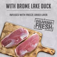 Nutrience Canned Adult Pâté with Brome Lake Duck Dog Food