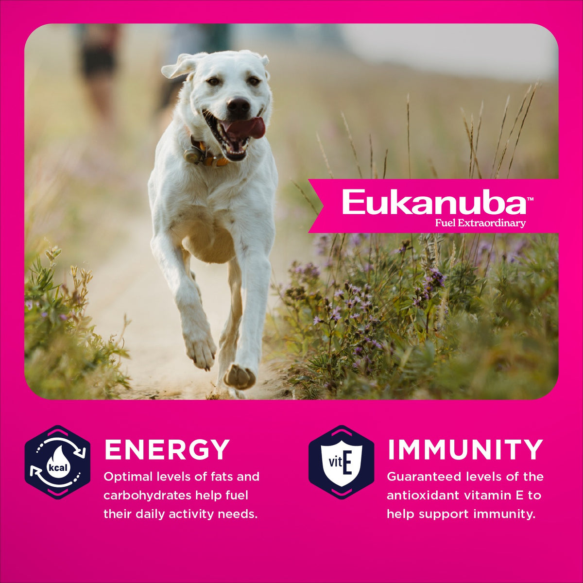 Energy from fats and carbohydrates and immunity from antioxidant vitamin E - Eukanuba Adult Large Breed - PetMax Canada