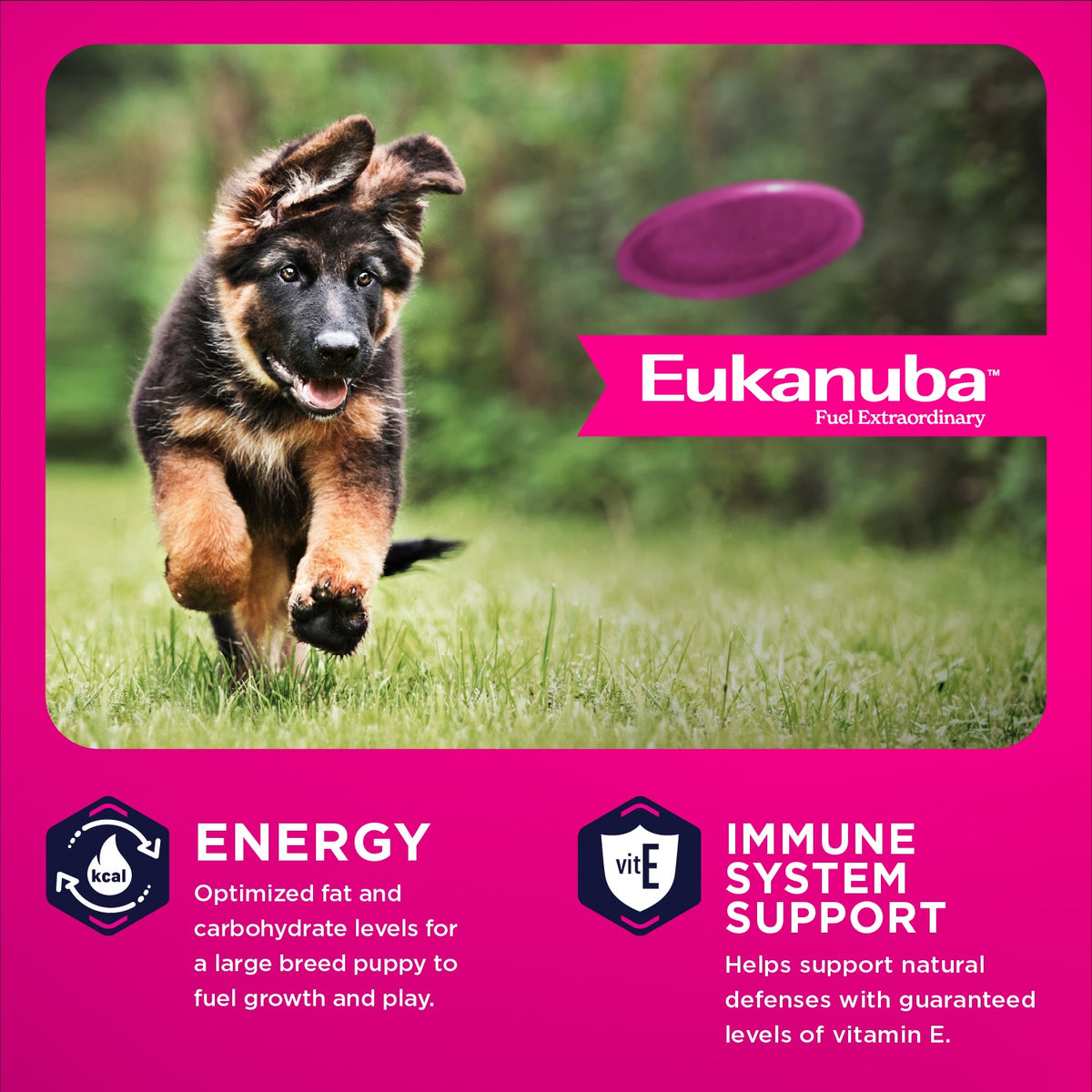 Energy and immune system support - optimized fat and carbohydrates and vitamin E - Eukanuba Puppy Large Breed - PetMax Canada