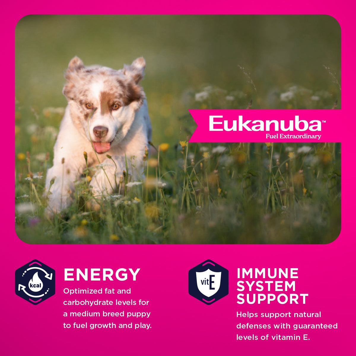 Energy and immune system support - optimized fat and carbohydrates and vitamin E - Eukanuba Puppy Medium Breed - PetMax Canada