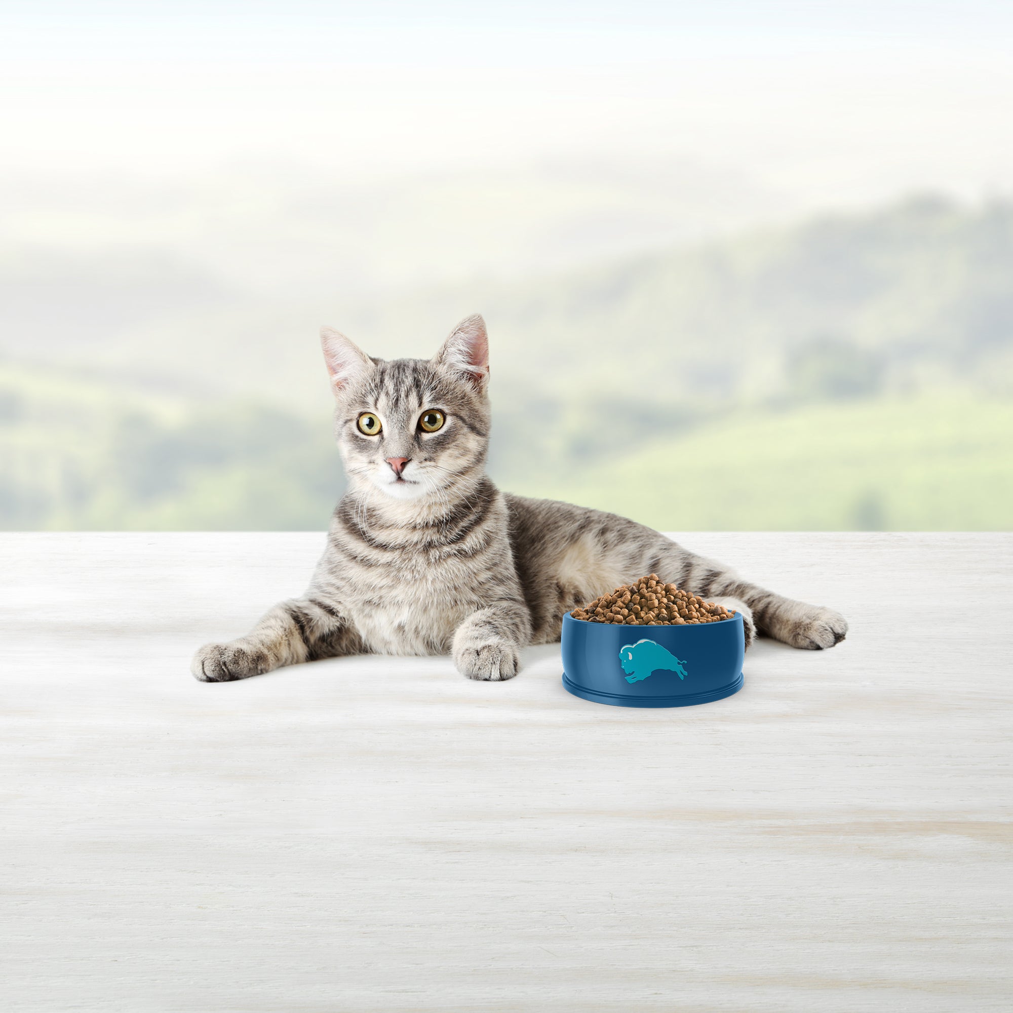 Blue Buffalo Tastefuls Chicken Indoor Natural Adult Dry Cat Food - Image 6 - Blue Buffalo - PetMax Canada