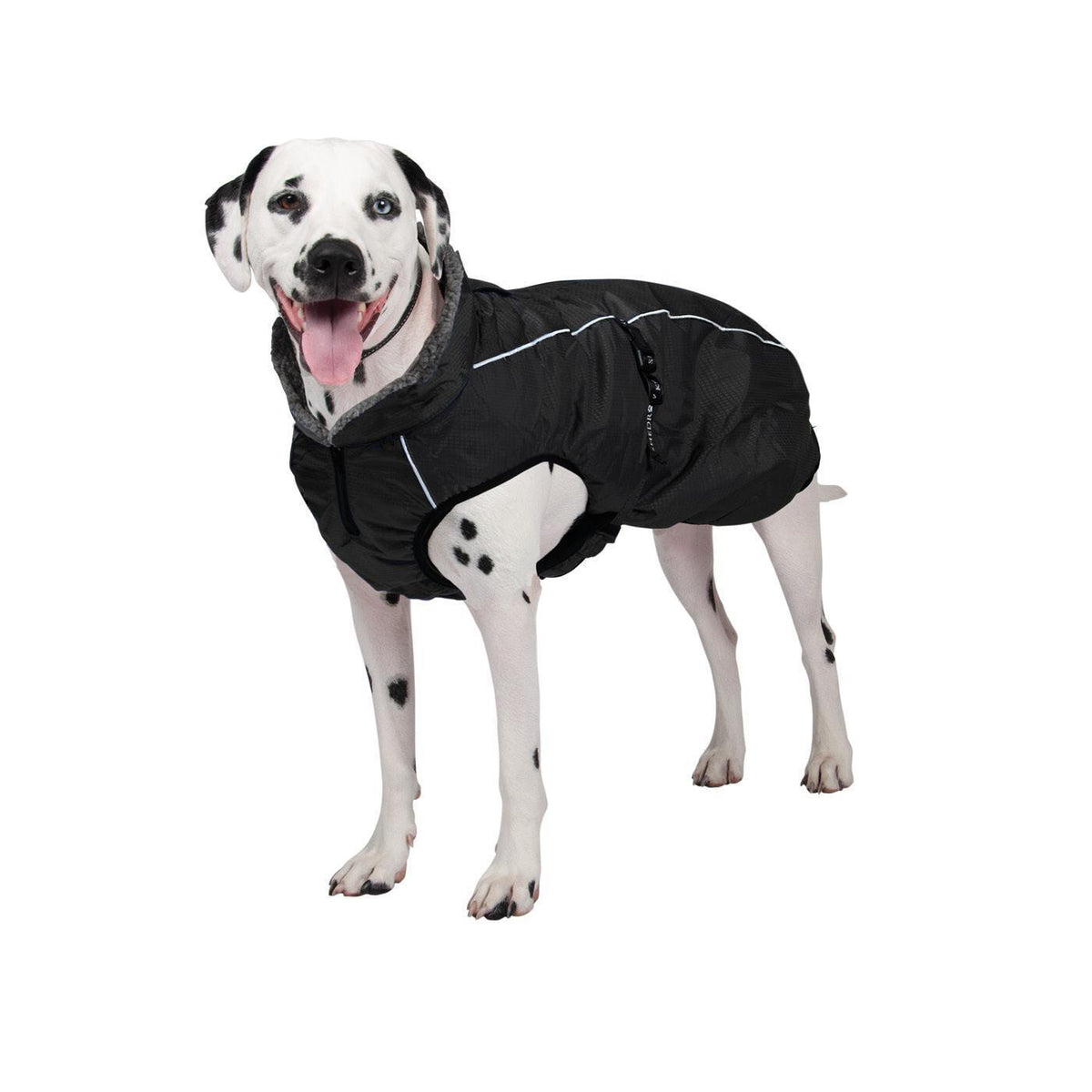 Shedrow K9 Chinook Dog Coat Black - Coats - Shedrow K9 - PetMax Canada