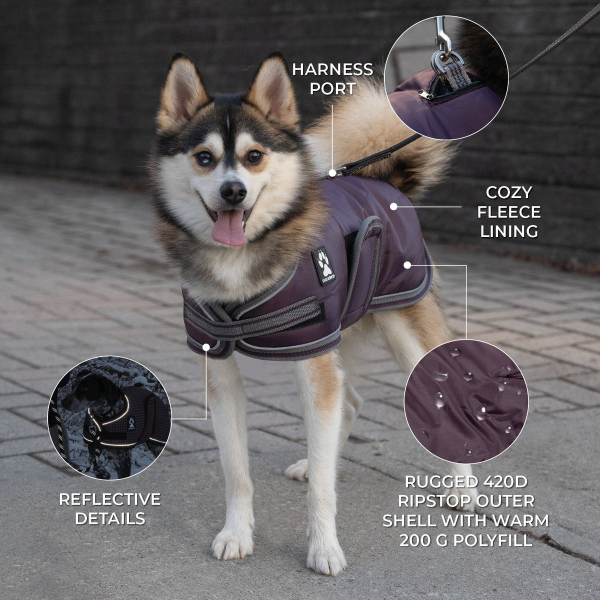 Shedrow K9 Vail Dog Coat Wine Tasting - Coats - Shedrow K9 - PetMax Canada