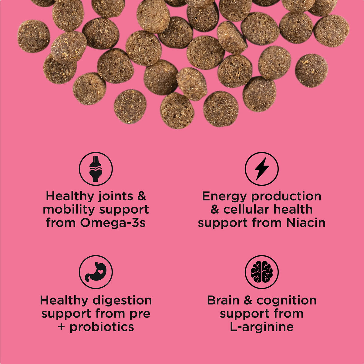 Go! Solutions Healthy Aging Salmon + Duck Recipe With Grains Dry Dog Food - Kibble with omega-3, niacin, pre + probiotic and L-arginine benefits - PetMax Canada