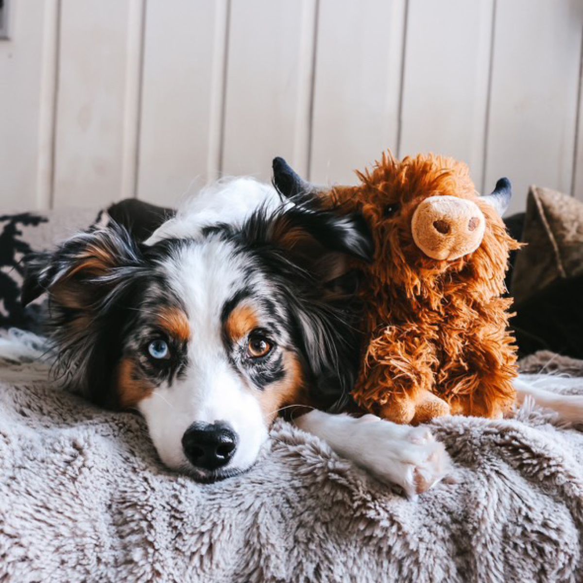 Tall Tails Plush Highland Cow Dog Toy