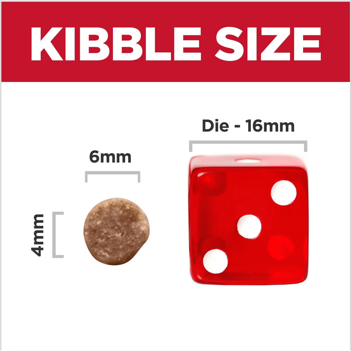 Hill's Science Diet Dry Cat Food, Kitten, Chicken Recipe - 1.59 Kg - Cat Food - Hill's Science Diet - PetMax Canada